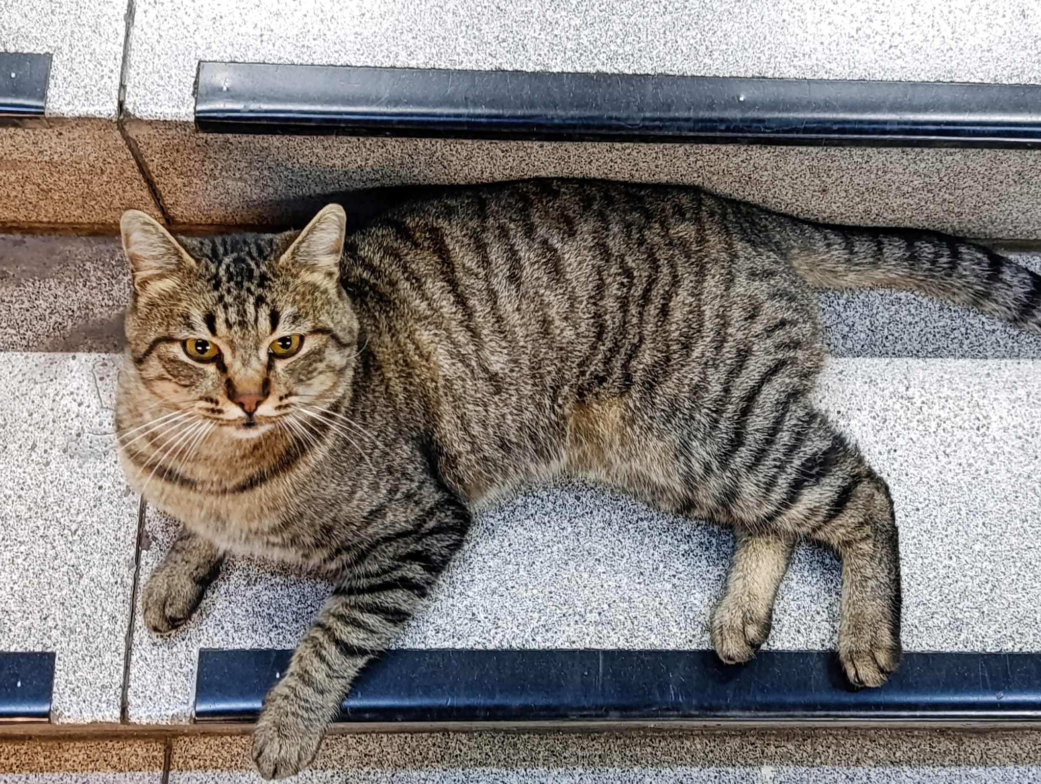 Hipnotize Eden Bakışlar